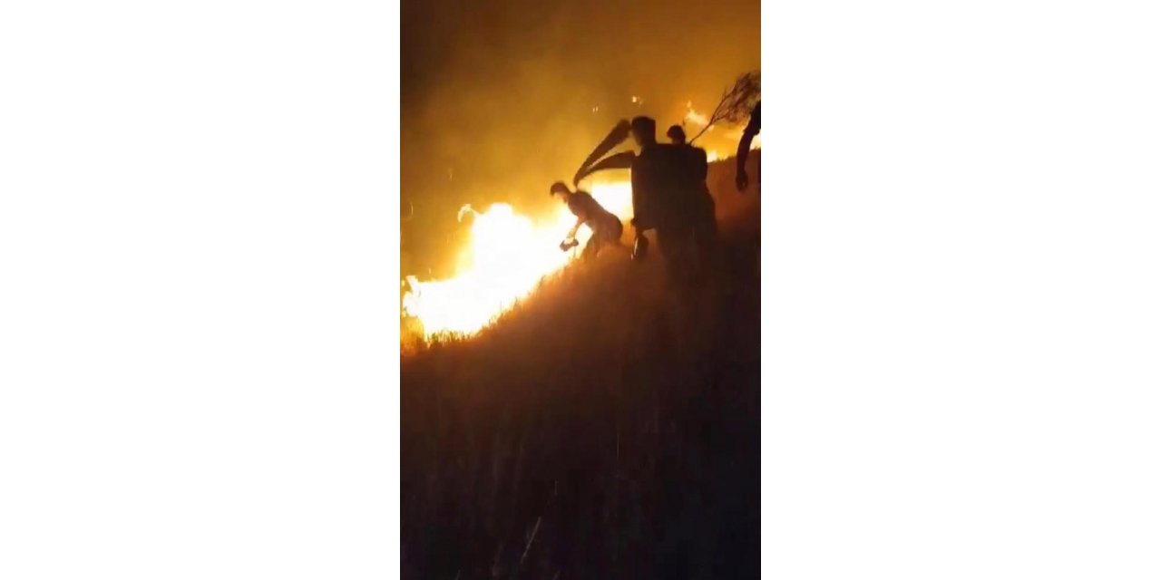 Karacadağ Bal Ormanı’ndaki yangın kontrol altına alındı