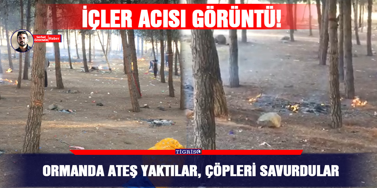 VİDEO - Ormanda ateş yaktılar, çöpleri savurdular