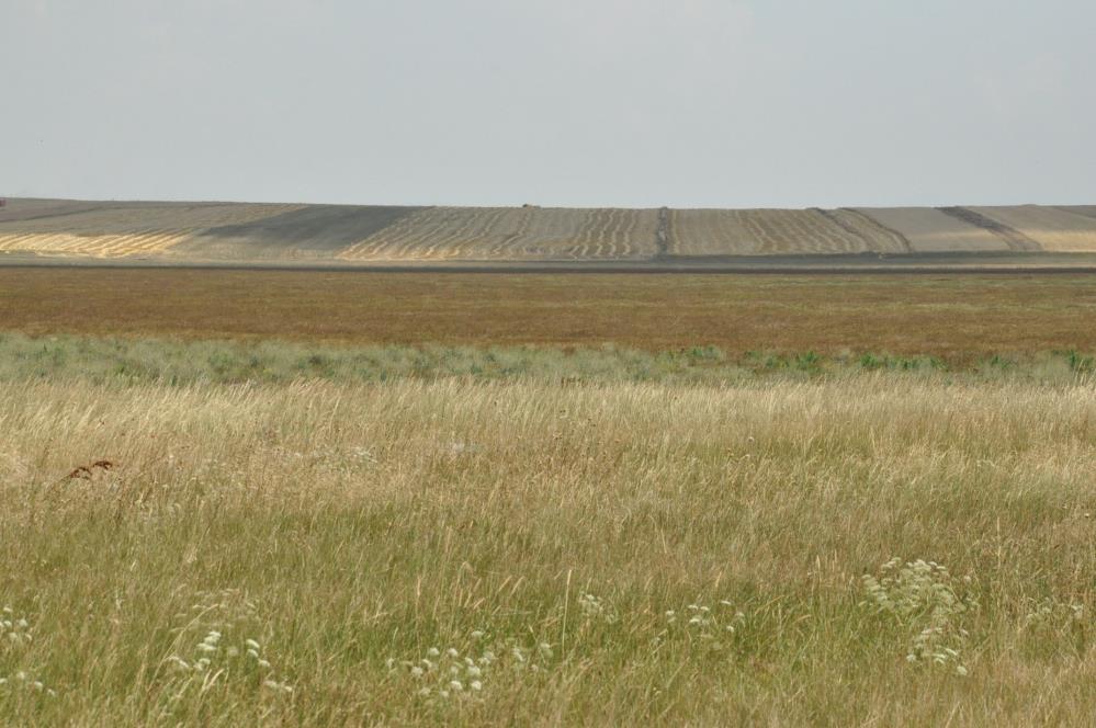 Kuşlar Ramsar alanını terk etti