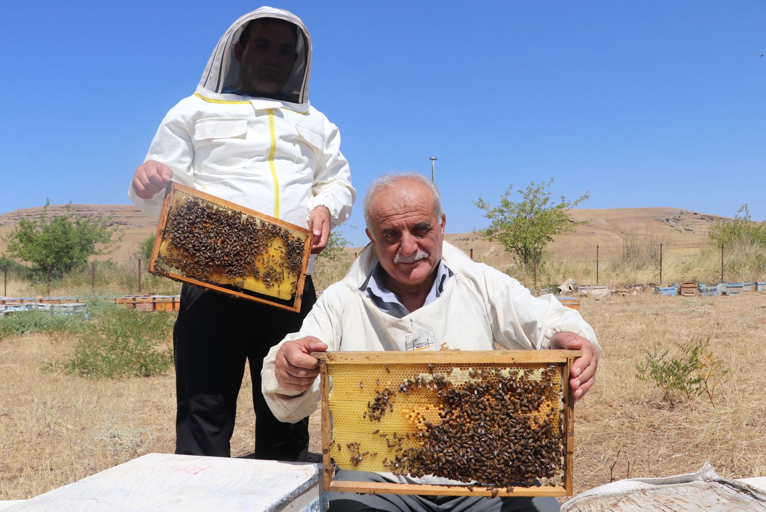 Aşırı sıcaklar bal üretimini olumsuz etkiledi