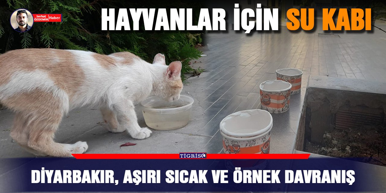 Diyarbakır, aşırı sıcak ve örnek davranış