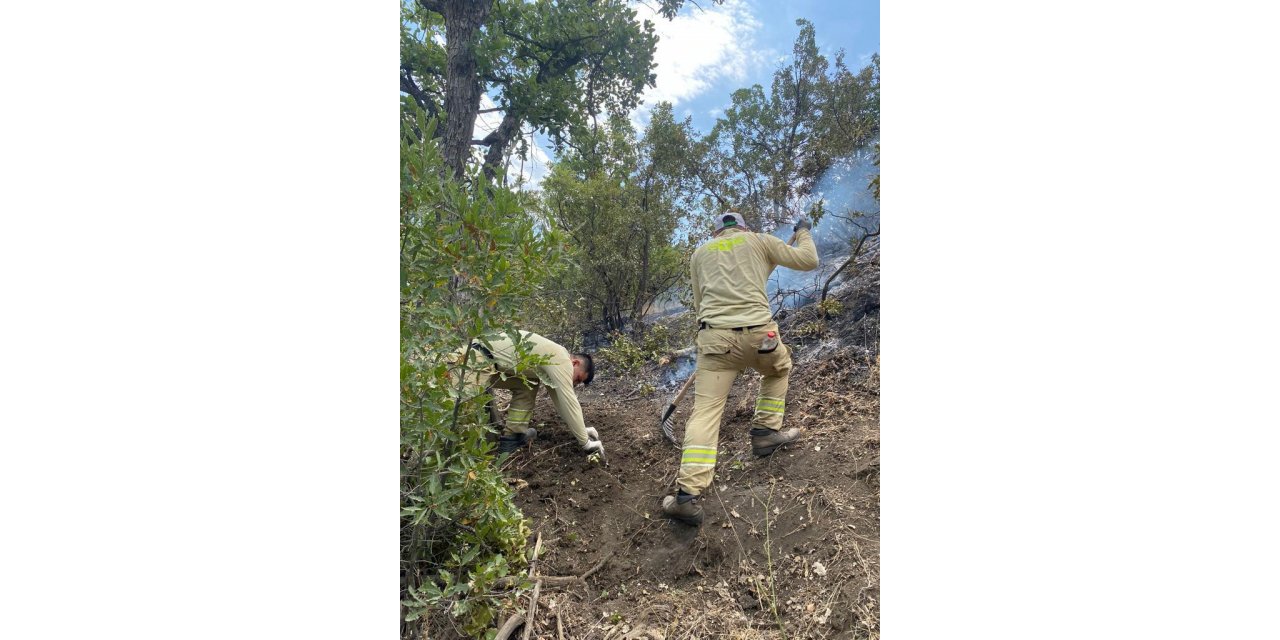 Siirt'teki orman yangını söndürüldü