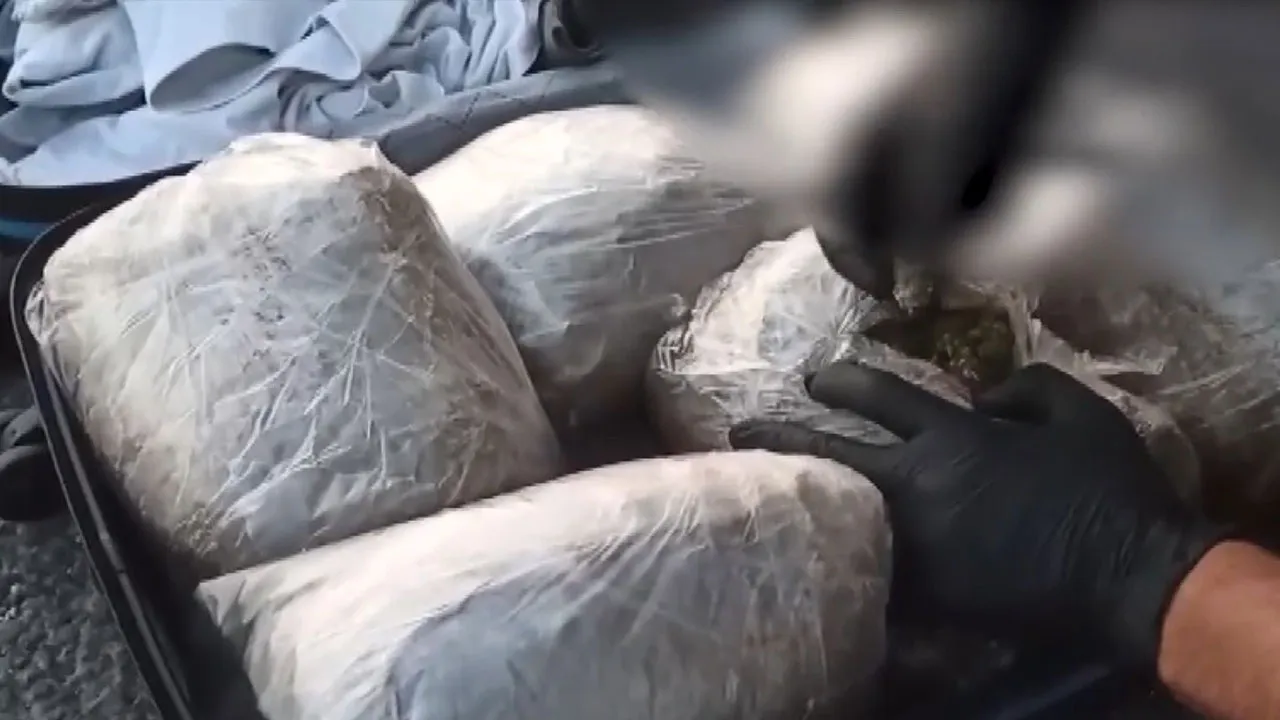 Antep'de 6 kilo 85 gram skunk ele geçirildi