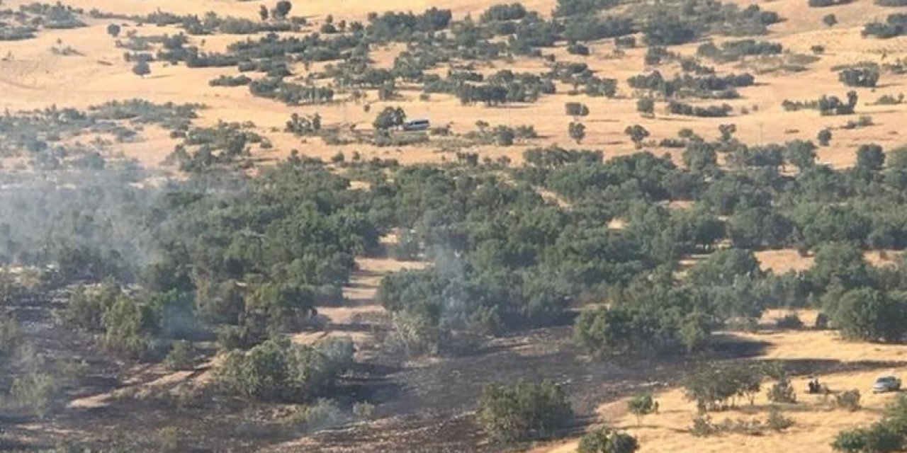 Lice’deki yangın 4 saat sonra kontrol altına alındı