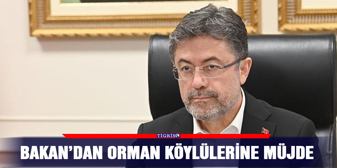 Bakan’dan orman köylülerine müjde