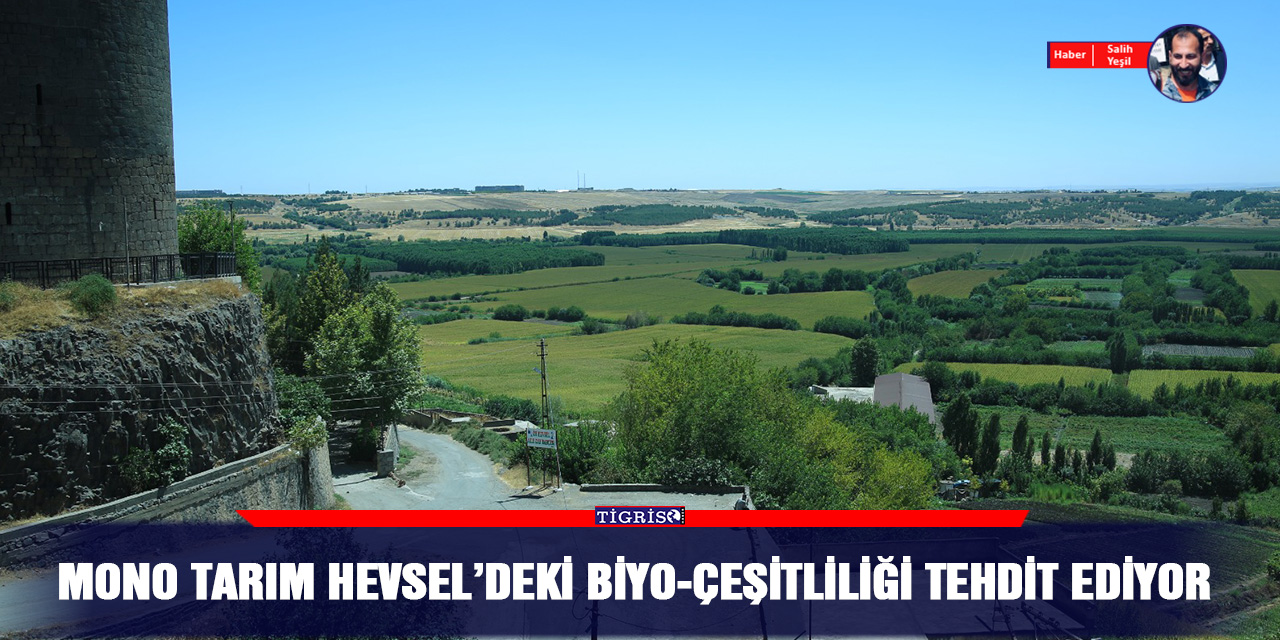 Mono tarım Hevsel’deki biyo-çeşitliliği tehdit ediyor