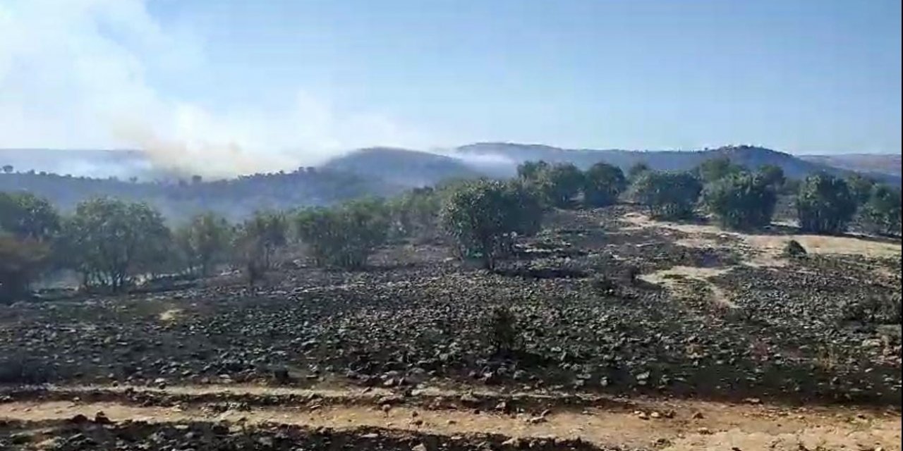 Mardin’deki orman yangınları sürüyor