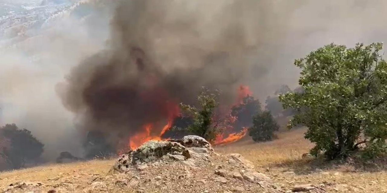 Bingöl’deki orman yangını devam ediyor