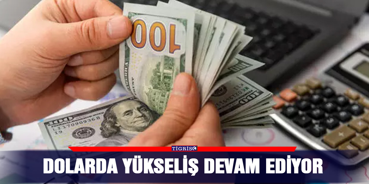 Dolarda yükseliş devam ediyor