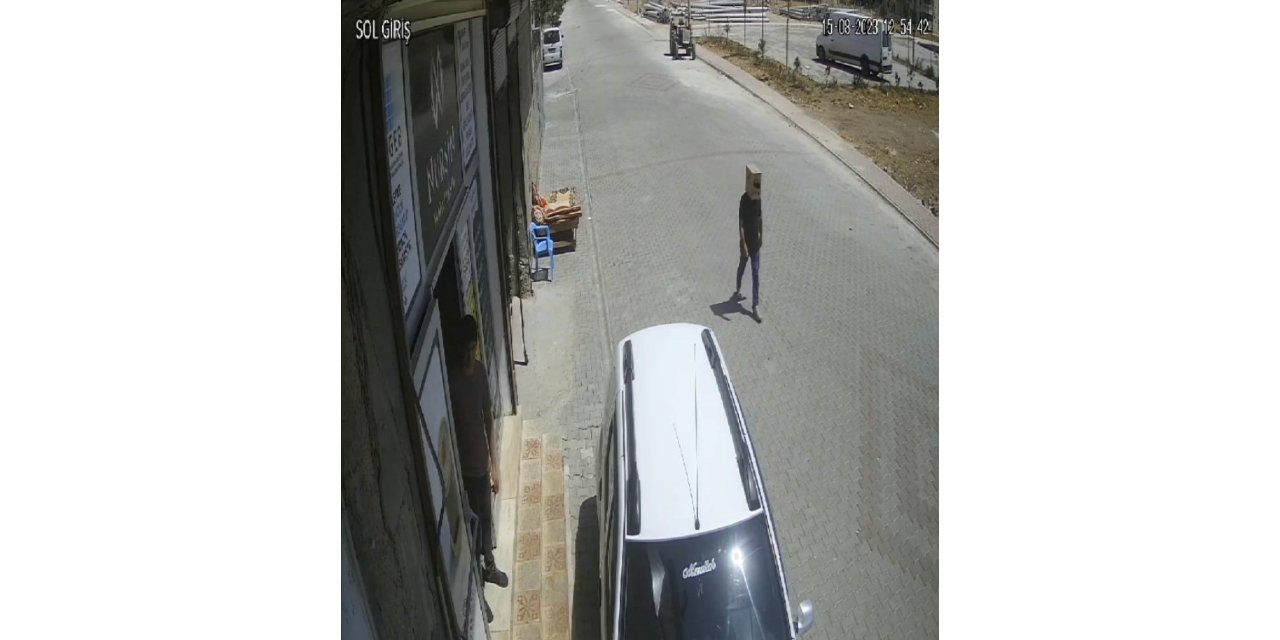 Sıcaktan bunaldı, kafasına karton geçirdi