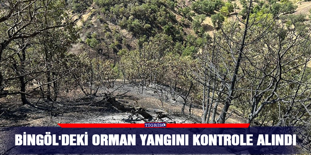 Bingöl'deki orman yangını kontrole alındı