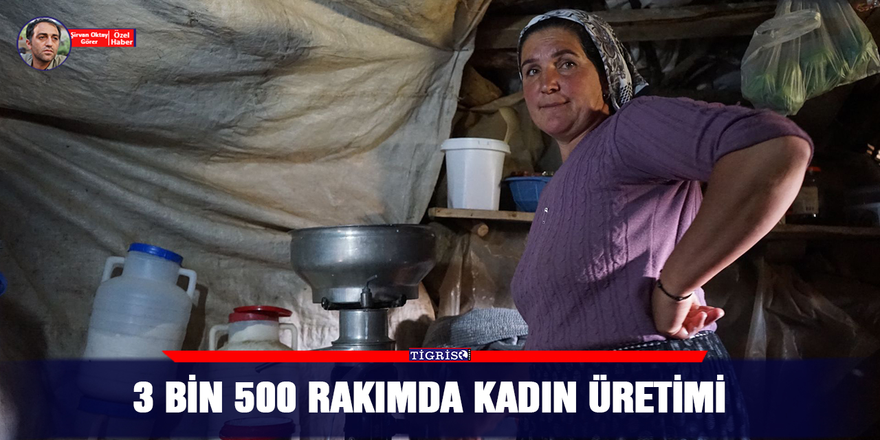 VİDEO - 3 bin 500 rakımda kadın üretimi