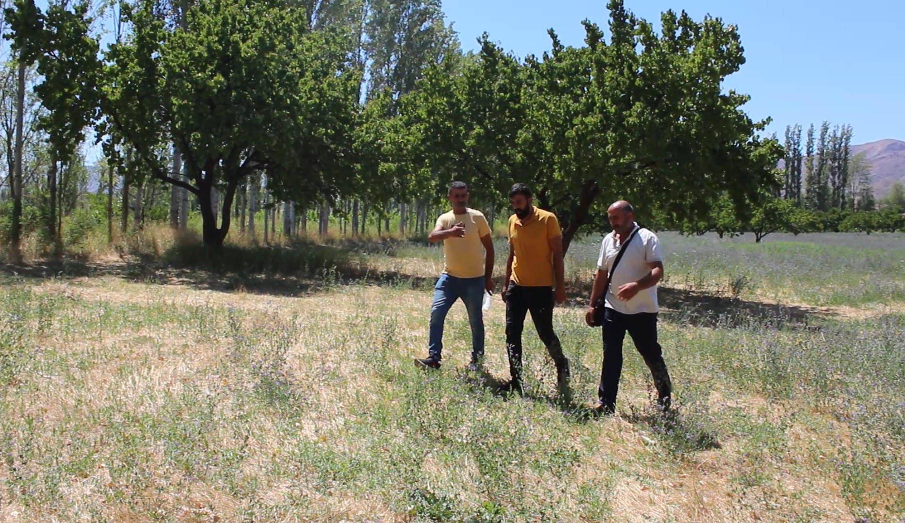 Iğdır'lı çiftçiler: Bağ, bahçe kurudu