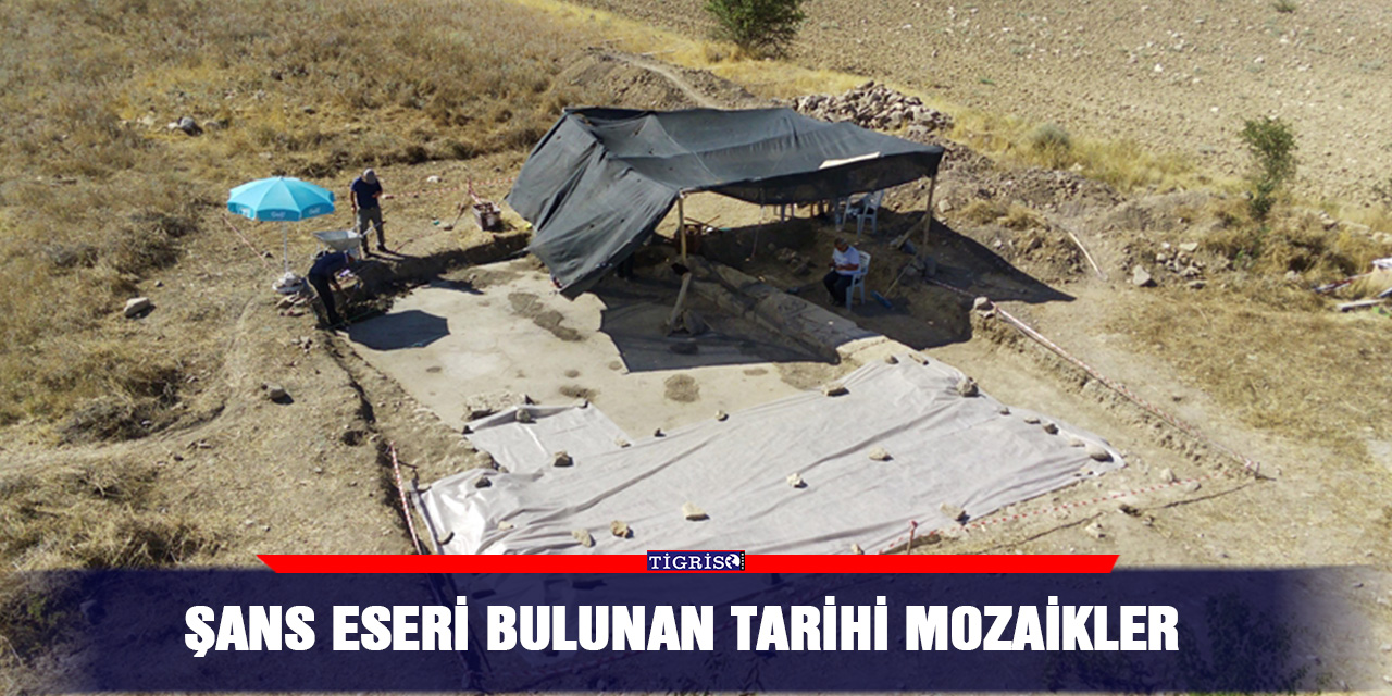 Şans eseri bulunan tarihi mozaikler