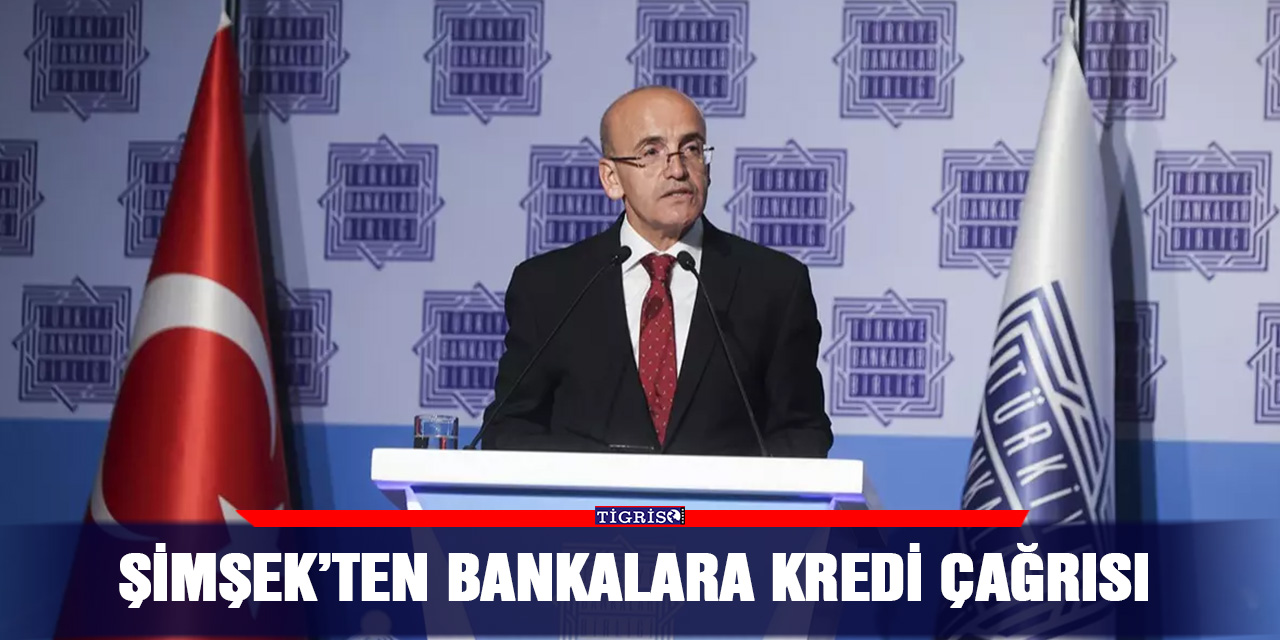 Şimşek’ten Bankalara Kredi Çağrısı