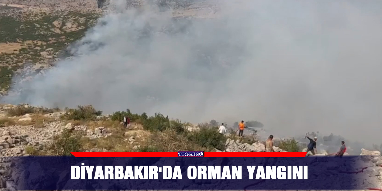 Diyarbakır'da orman yangını
