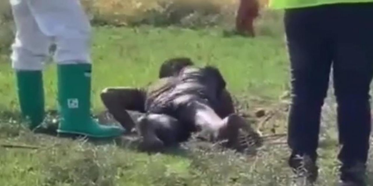 Hastaneden kaçan kuduz hastası bulundu