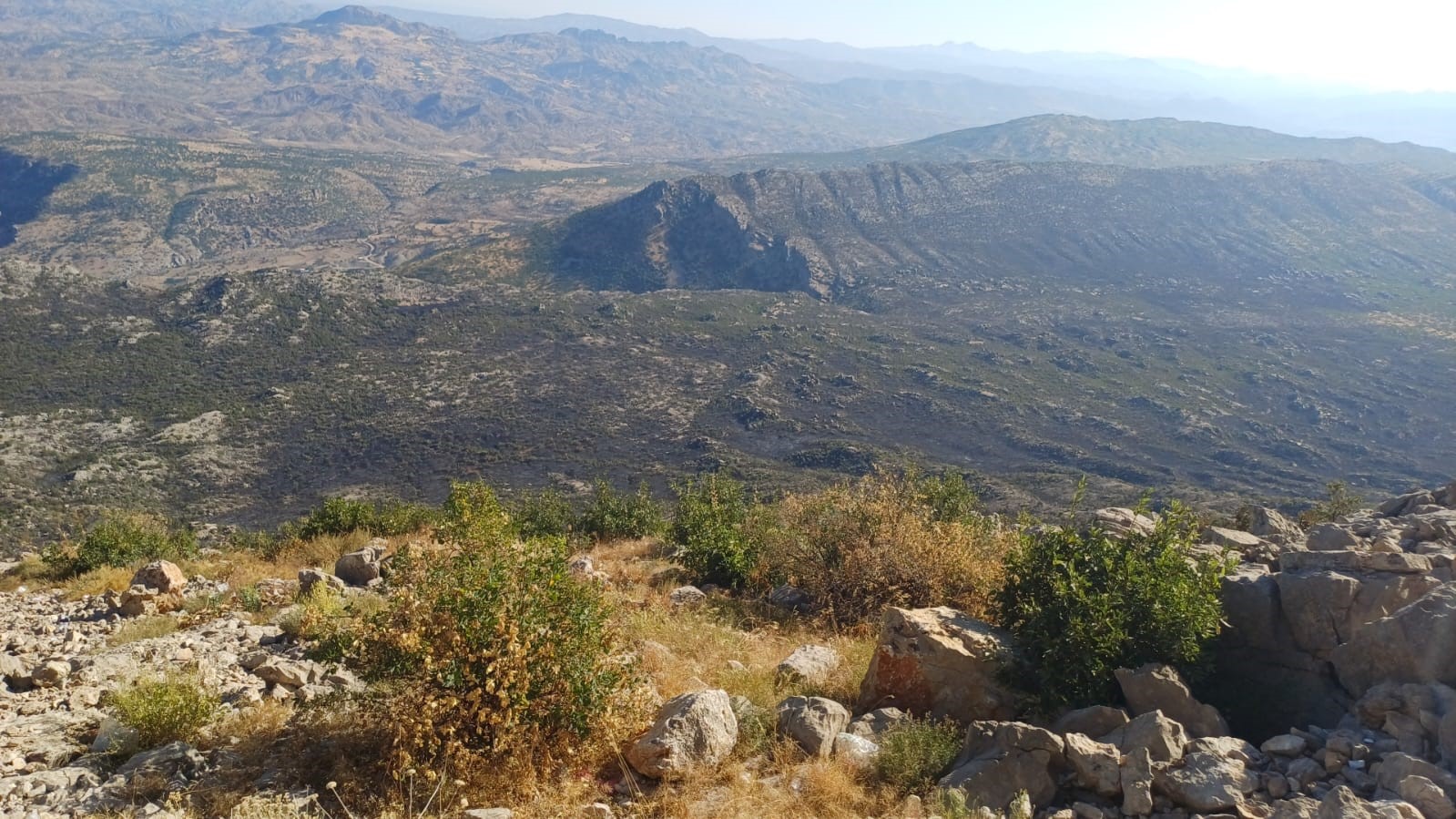 Diyarbakır'daki orman yangını kontrol altına alındı