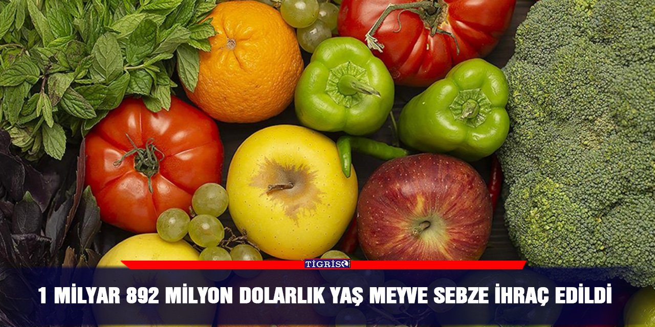 1 milyar 892 milyon dolarlık yaş meyve sebze ihraç edildi