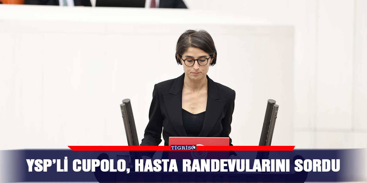 YSP’li Cupolo, hasta randevularını sordu