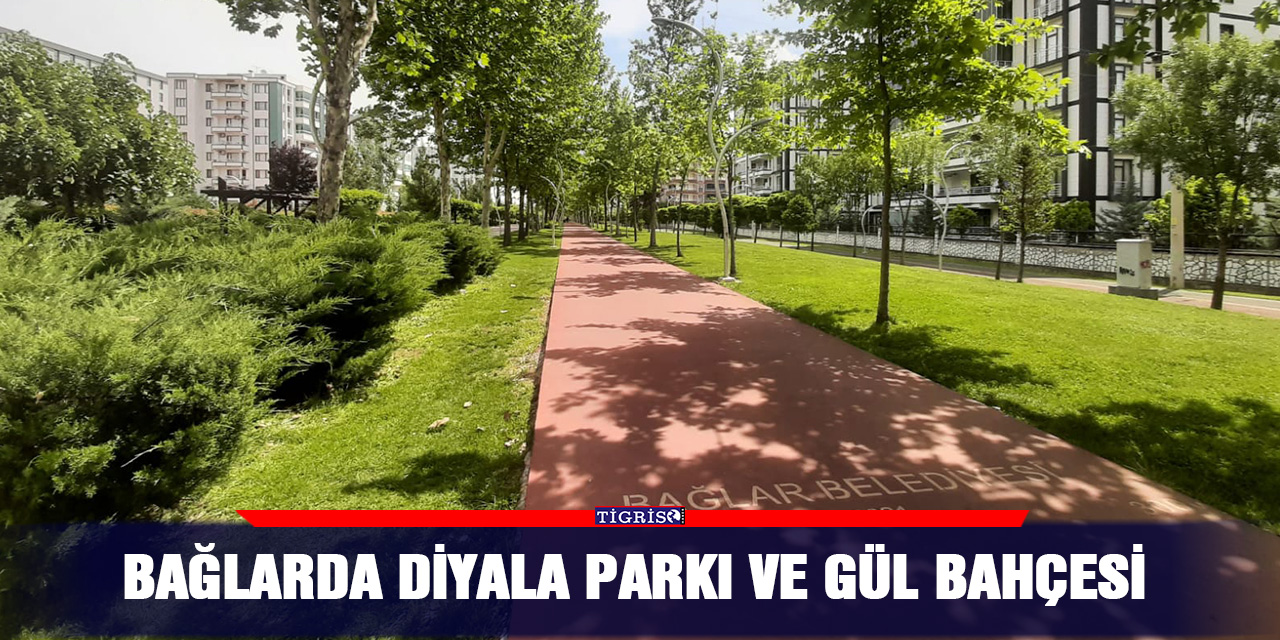 Bağlar'da Diyala parkı ve gül bahçesi