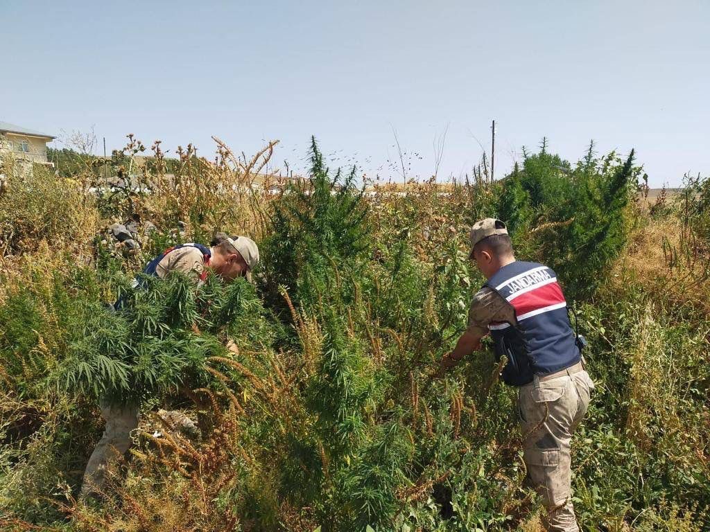 Jandarmadan uyuşturucu tacirlerine darbe