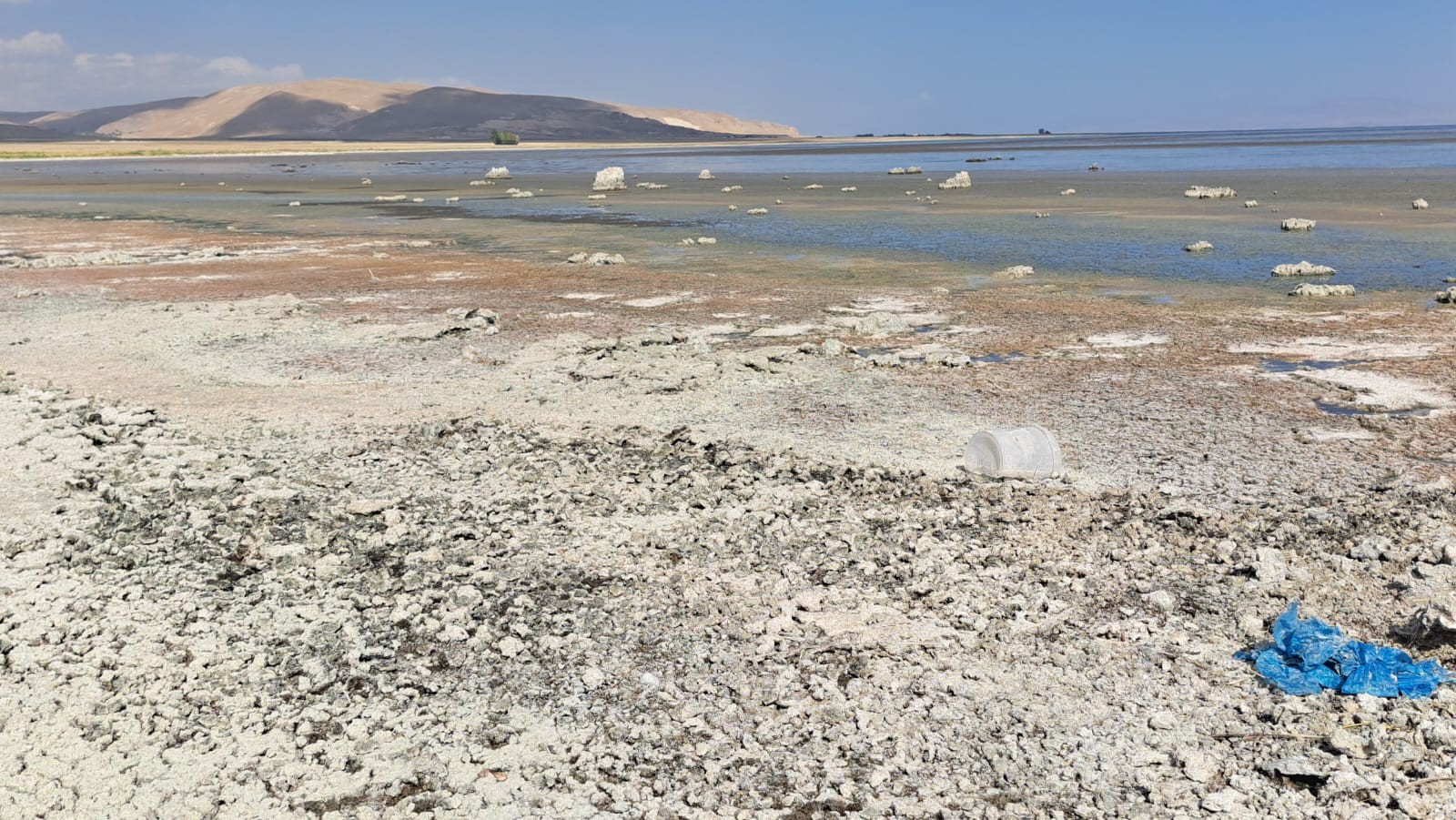Van Gölü sahilleri bataklığa dönüştü