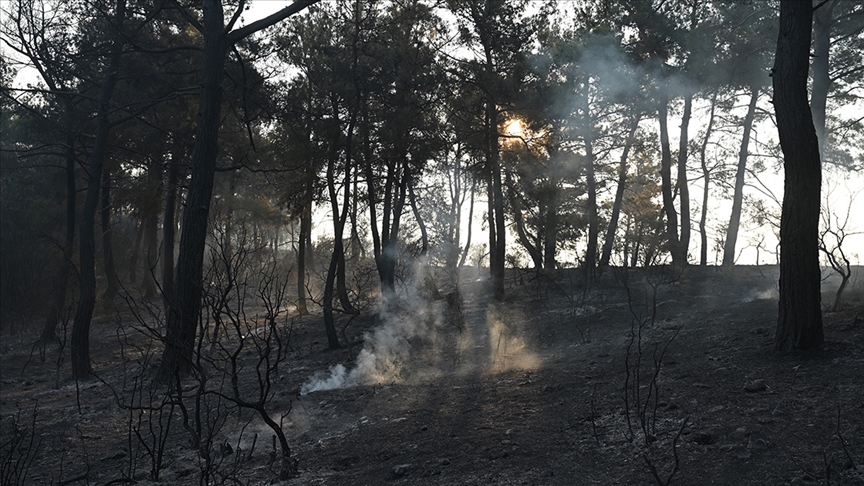 Bakan: Çanakkale yangını kontrol altında