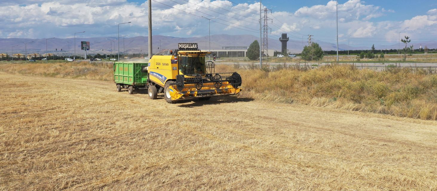 Tarımsal üretime üniversite desteği