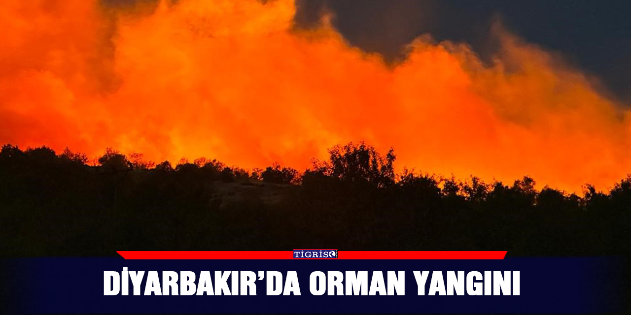 Diyarbakır’da orman yangını