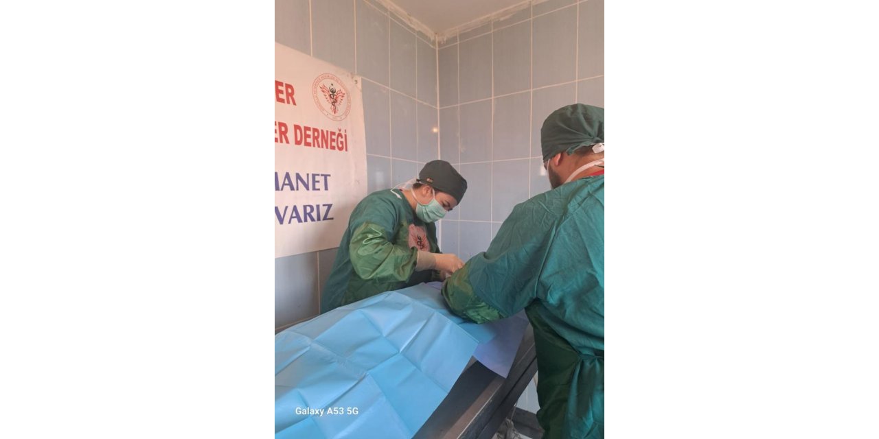 Ardahan’da barınak hayvanlarına kısırlaştırma