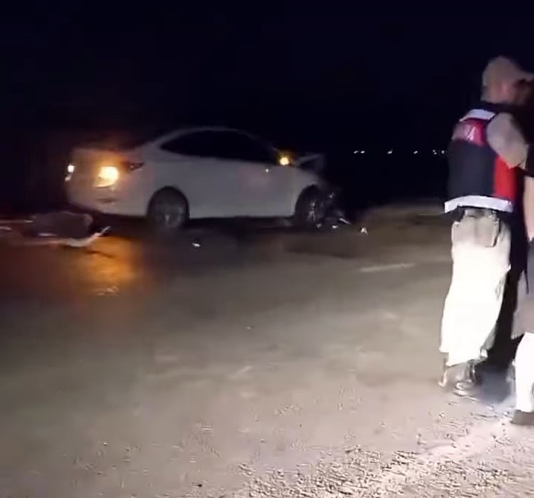 Otomobil sürüye çarptı, 15 koyun telef oldu