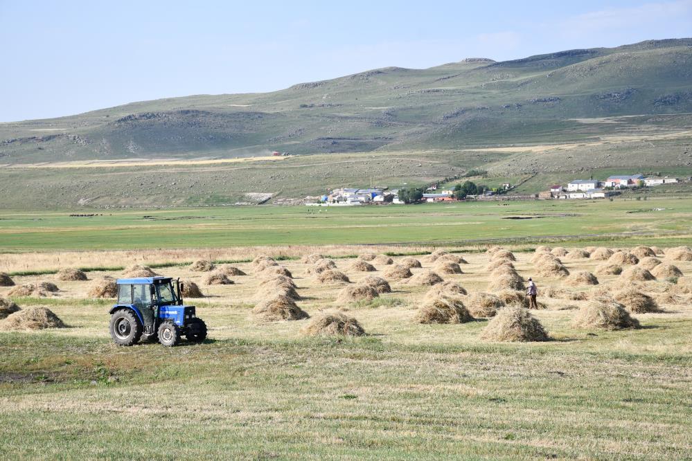 Aşırı sıcakta çiftçilerin zorlu mesaisi