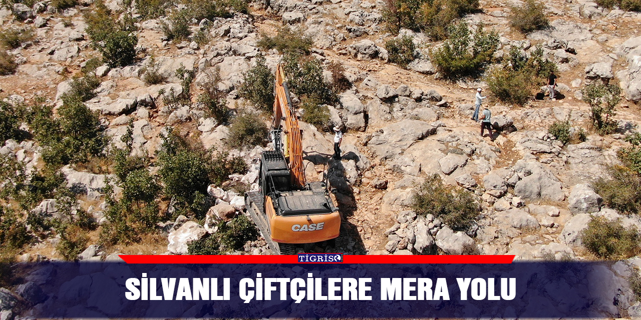 Silvanlı çiftçilere mera yolu