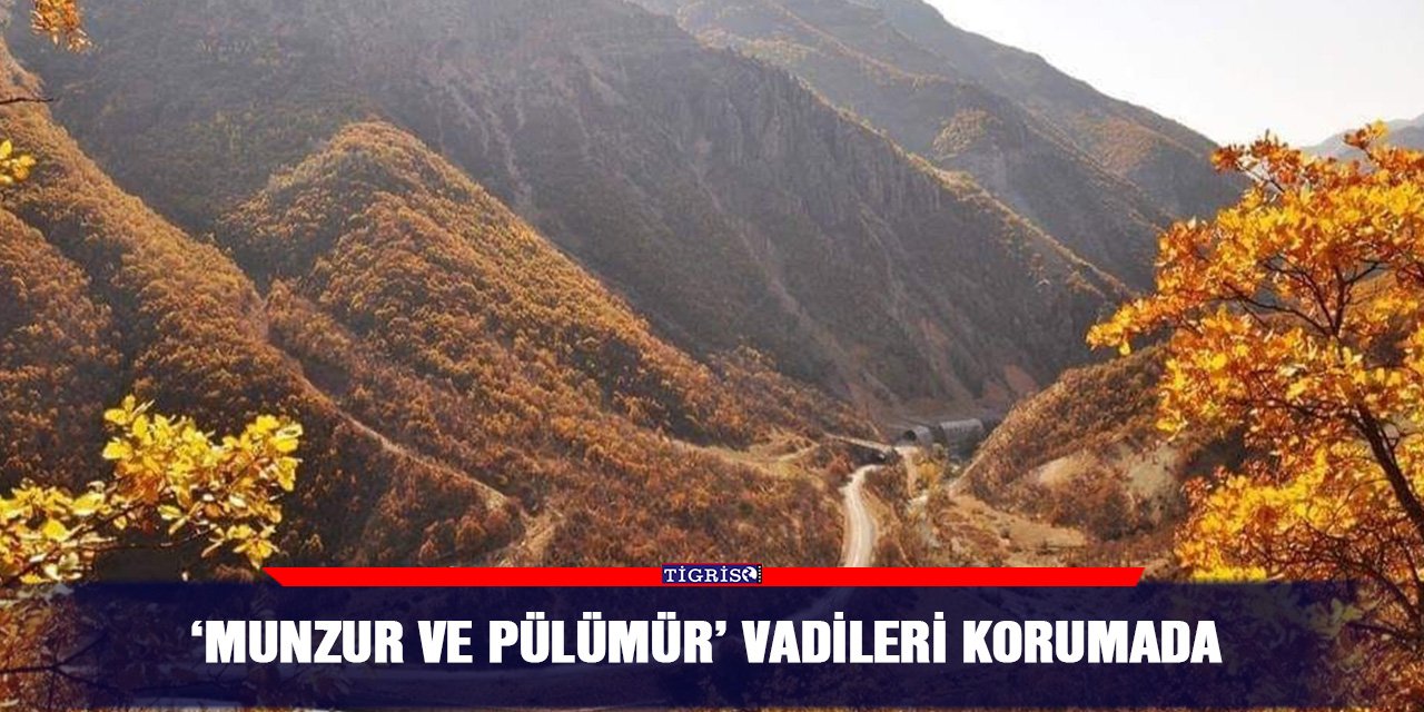 ‘Munzur ve Pülümür’ vadileri korumada
