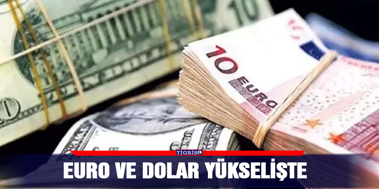 Euro ve dolar yükselişte