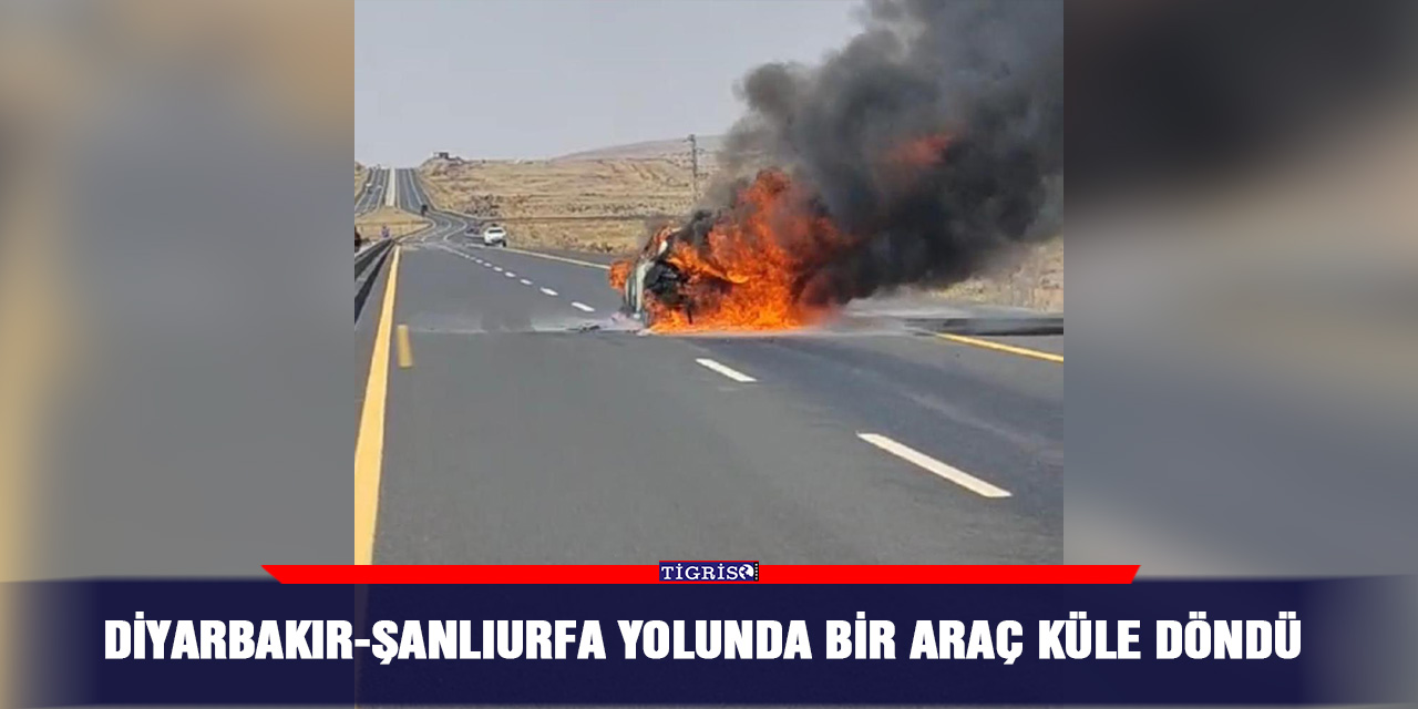 Diyarbakır-Şanlıurfa yolunda bir araç küle döndü