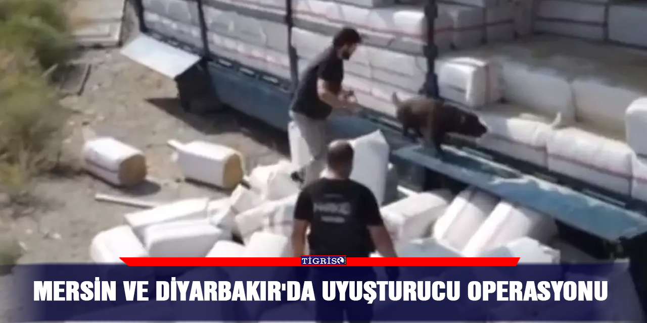 Mersin ve Diyarbakır'da uyuşturucu operasyonu