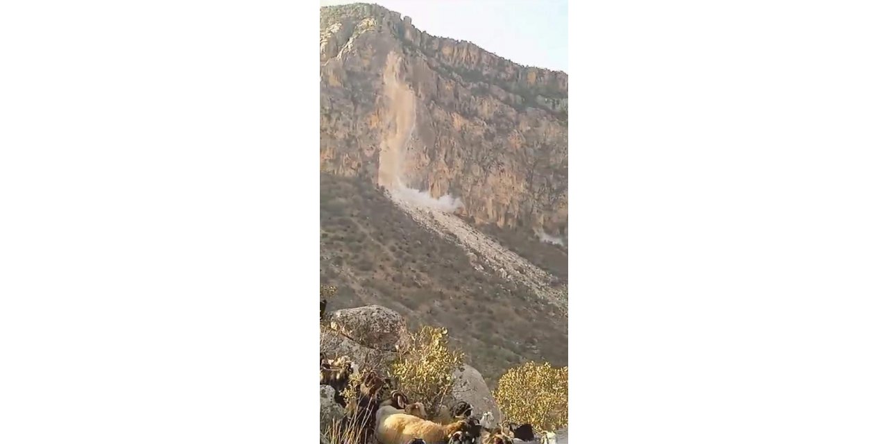 Çoban Siirt depremini görüntüledi