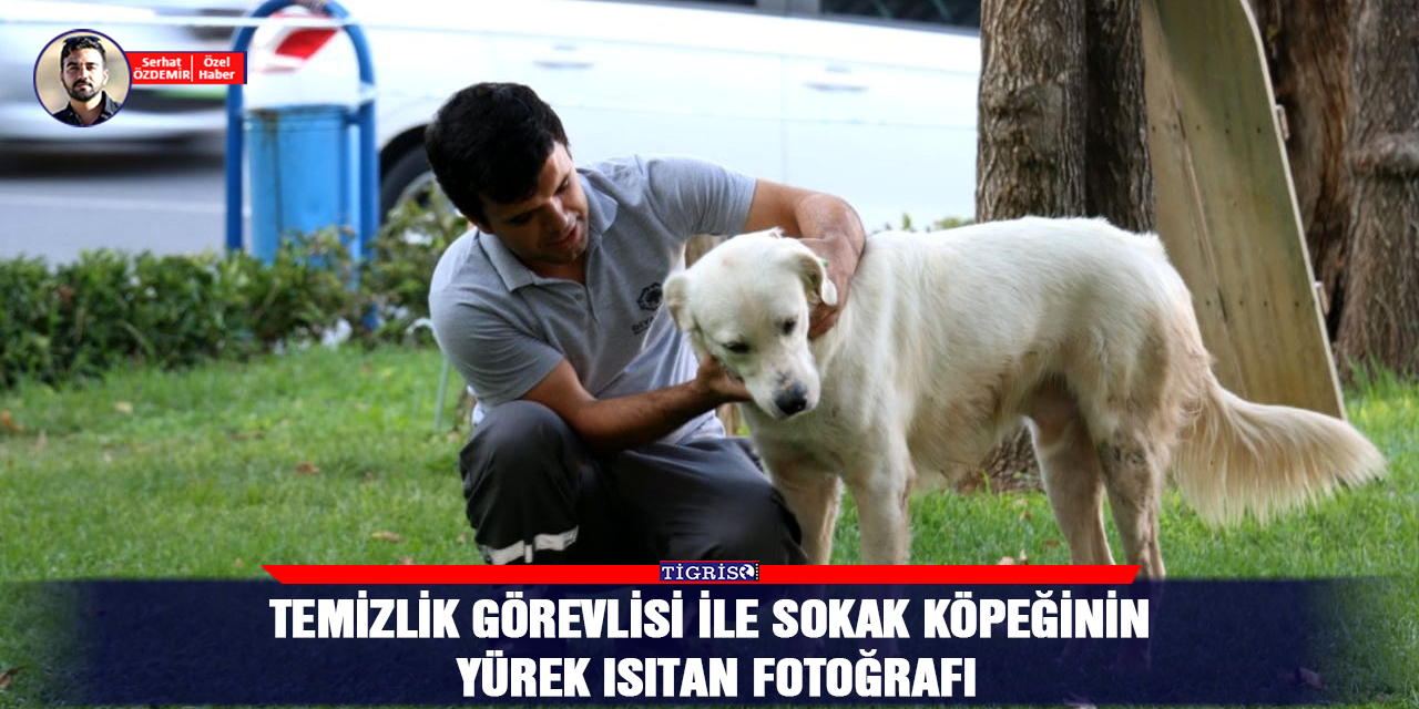 Temizlik görevlisi ile sokak köpeğinin yürek ısıtan fotoğrafı