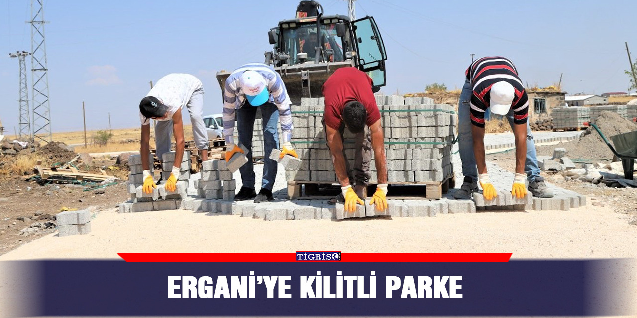 Ergani’ye kilitli parke