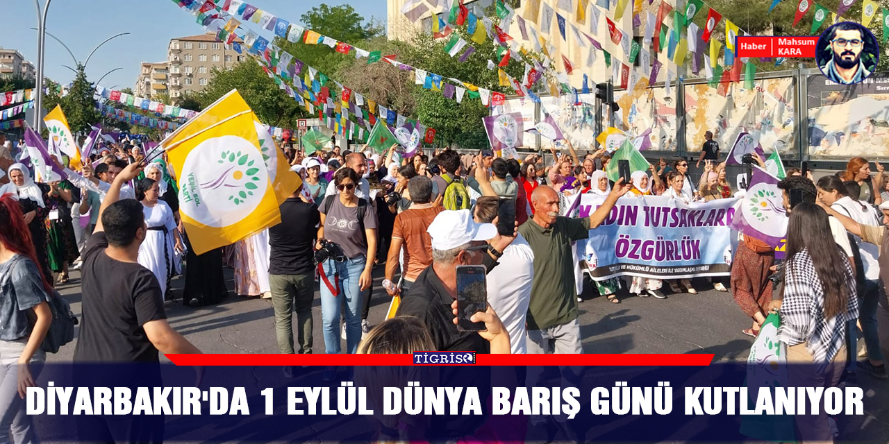 VİDEO - Diyarbakır'da 1 Eylül Dünya barış günü kutlanıyor