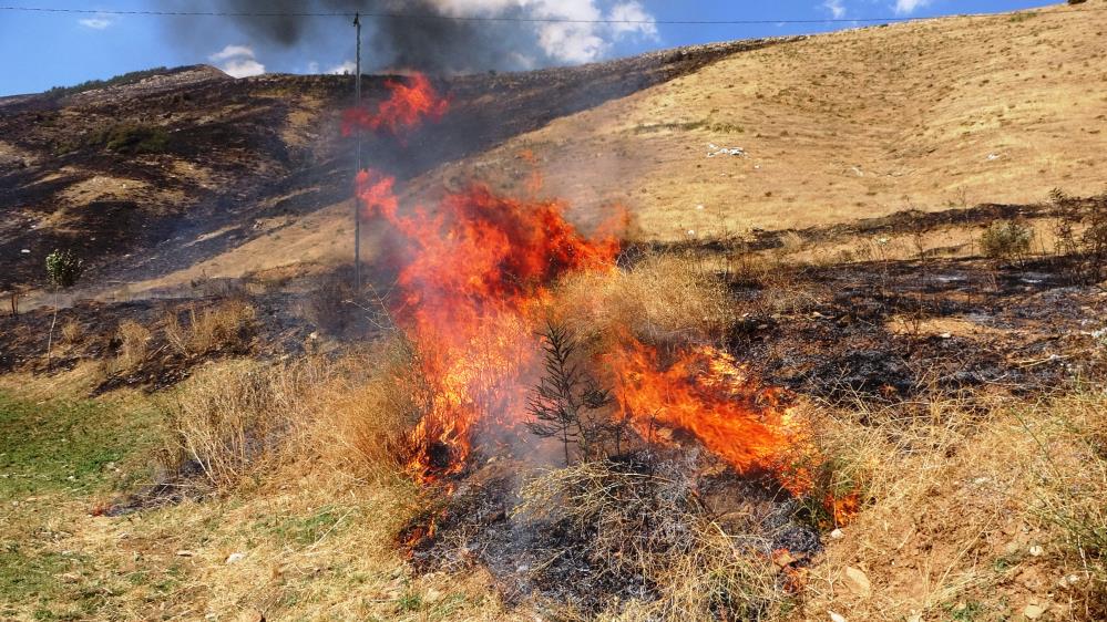 Bitlis’teki orman yangını kontrol altına alındı