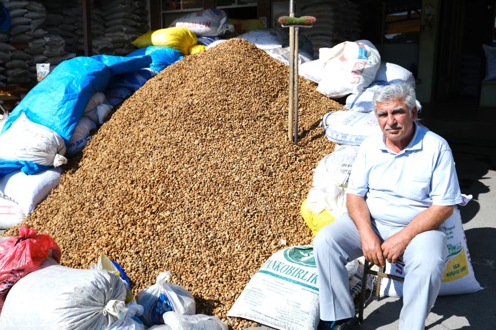 Erzincan’dan Malatya’ya 30 ton acı kayısı çekirdeği gönderiliyor