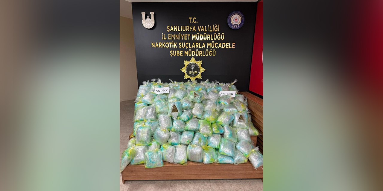Şanlıurfa’da 167 kilogram skunk ele geçirildi