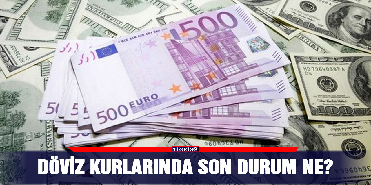 Döviz kurlarında son durum ne?