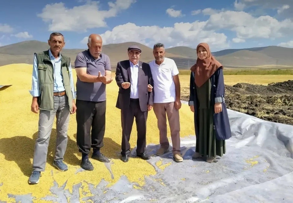 Ardahan’da hububat alımı başladı