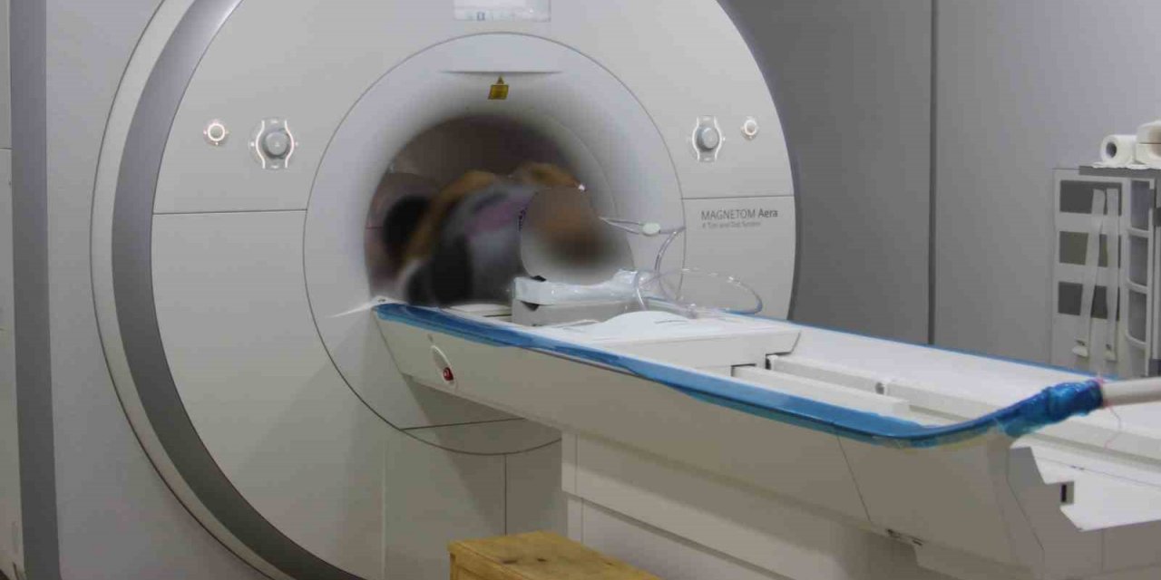 Hemoroid hastaları yürüyüş yapmalı