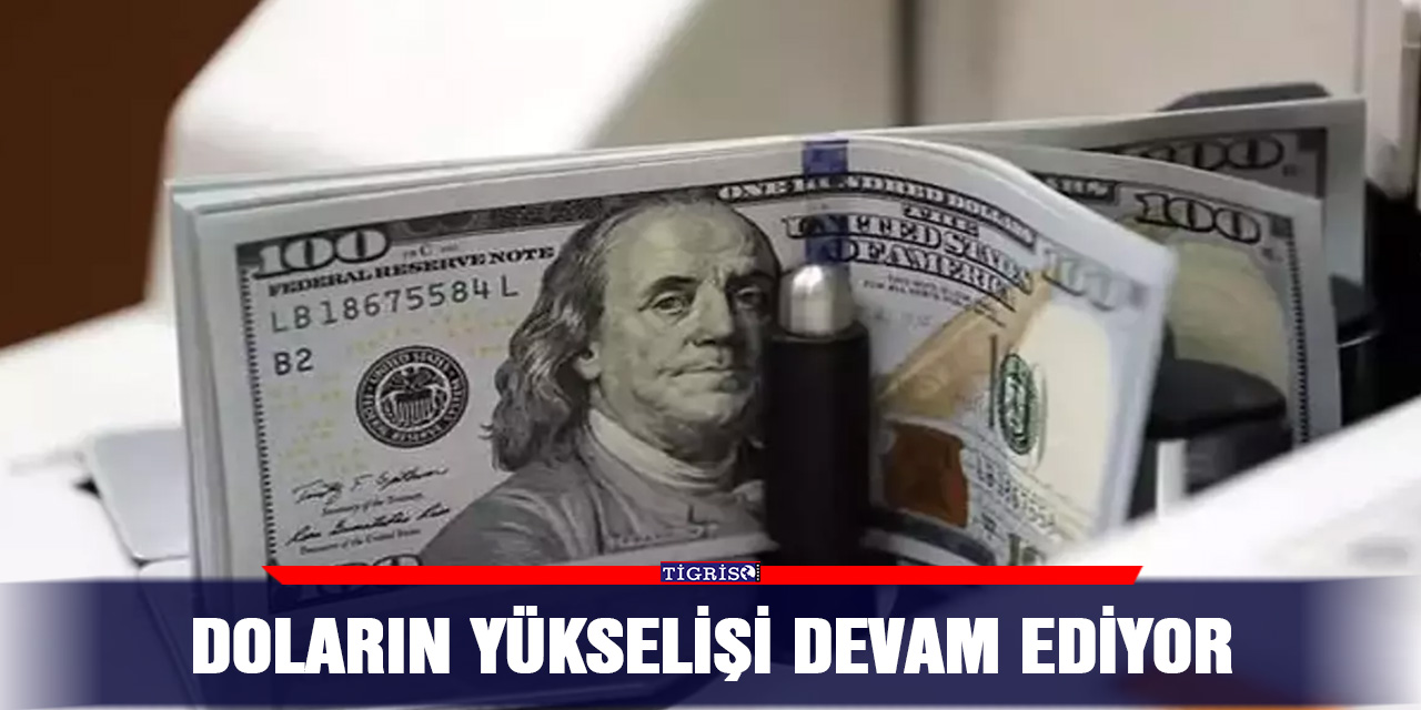 Doların yükselişi devam ediyor