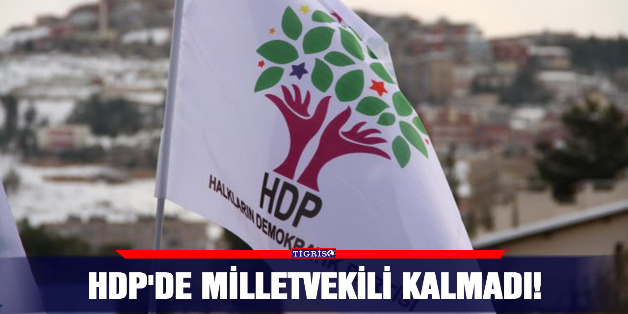 HDP'de Milletvekili kalmadı!